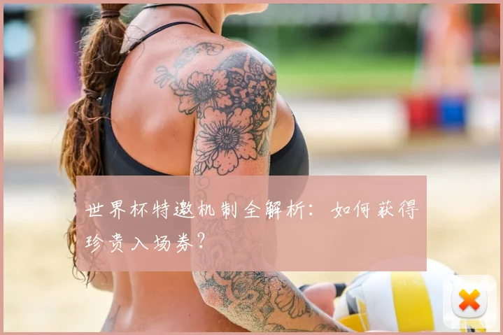 世界杯特邀机制全解析：如何获得珍贵入场券？