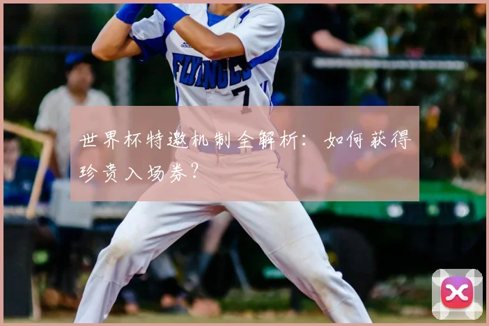世界杯特邀机制全解析：如何获得珍贵入场券？